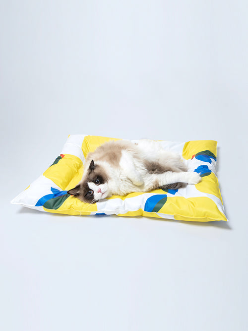 Pet Ice Gel Cooling Sleeping Pad for Dogs